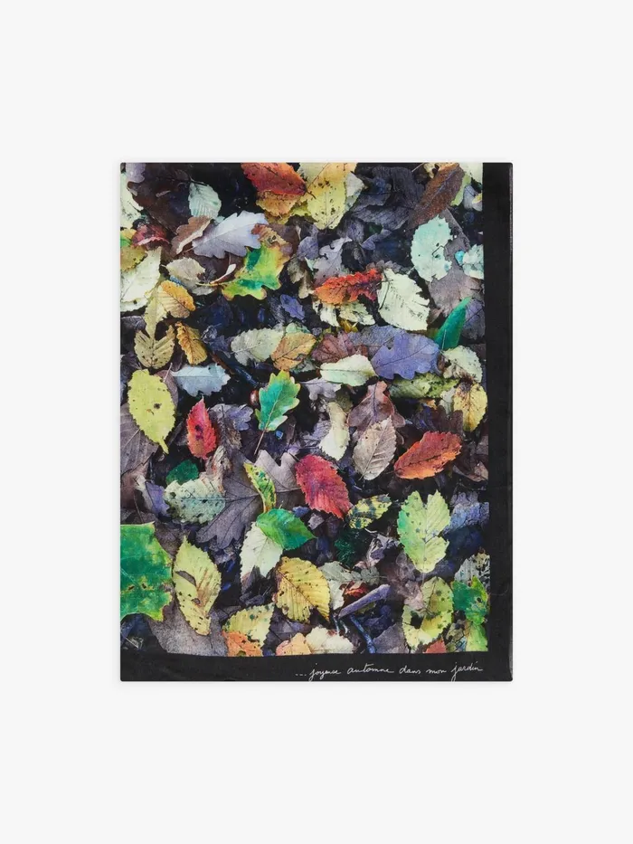 Agns B Scarves Women Feuilles Woollen Scarf With Leaf Print