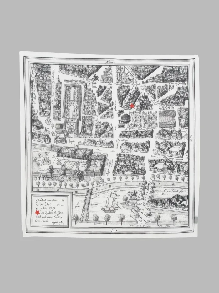 Agns B Scarves WomenMen Rue Du Jour Cotton Square Scarf