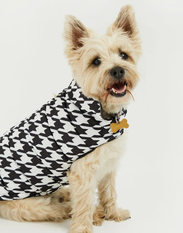 Dogs Dogs039 Black and White Dogtooth Jacket Black and White Threadbare Dog Jackets