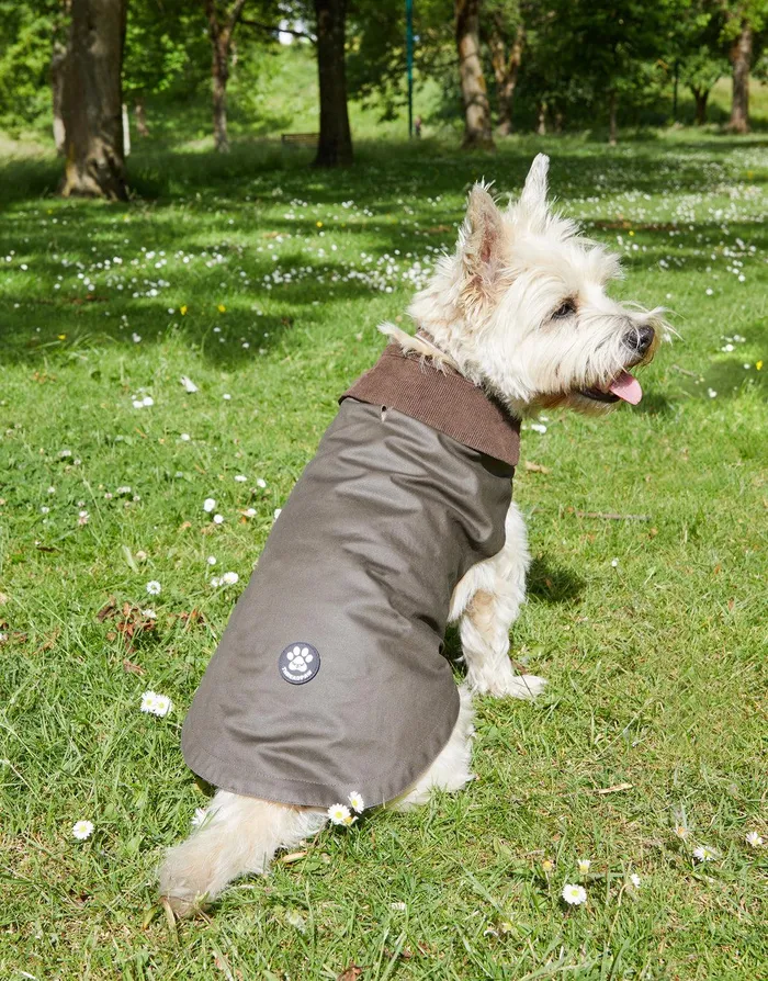 Dogs Dogs039 Khaki Wax Jacket Khaki Threadbare Dog Jackets