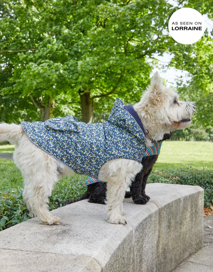 Dogs Dogs039 Navy Ditsy Floral Rain Jacket Navy Threadbare Dog Jackets
