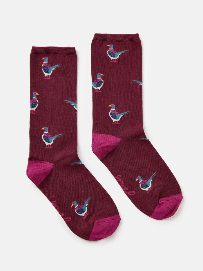 Joules Excellent Everyday 8211 Purple Pheasant Single Ankle Socks Women Socks and Tights Joules Excellent Everyday 8211 Purple Pheasant Single Ankle Socks Women Socks and Tights