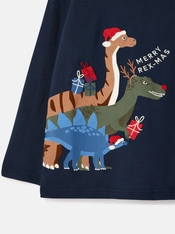 Joules Finlay 8211 Navy Long Sleeve Artwork Jersey Top Boys Tops and Tshirts