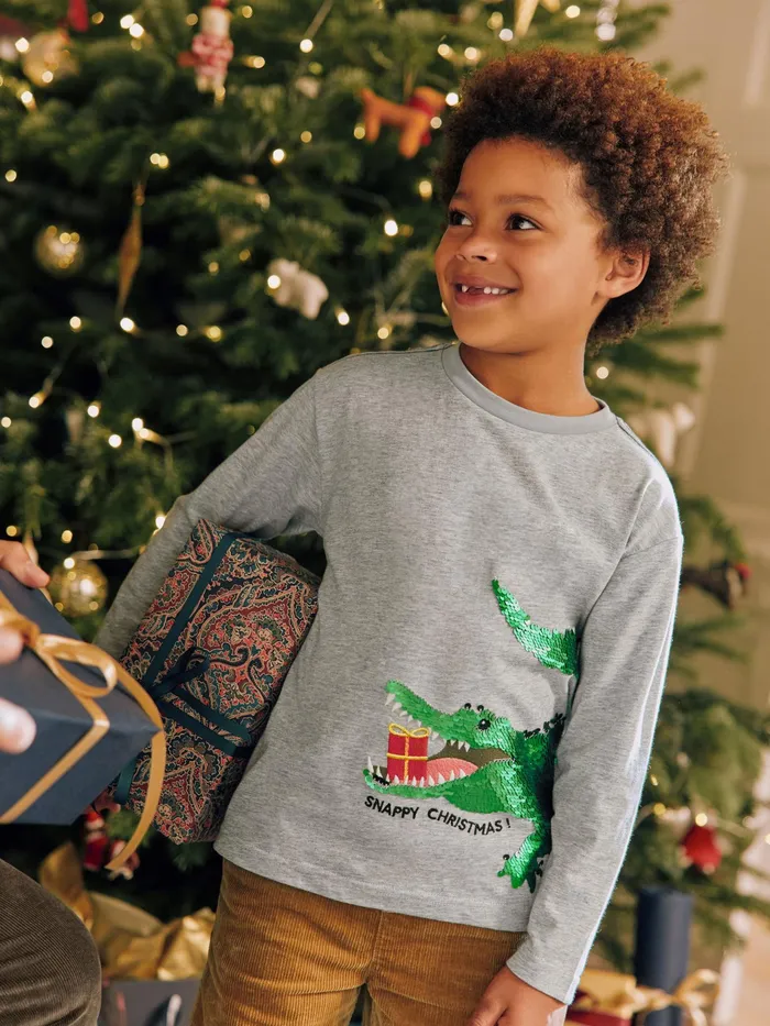 Joules Jack 8211 Grey Long Sleeve Artwork TShirt Boys Tops and Tshirts