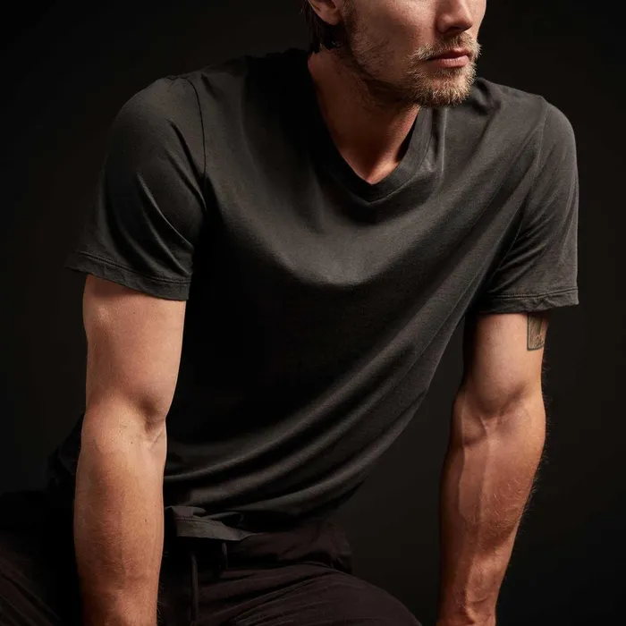 Men TShirts James Perse Luxe Lotus Jersey V Neck Carbon