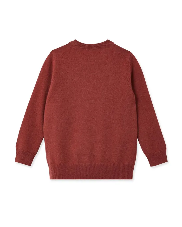 NPeal Boys Children Round Neck Cashmere Jumper In Brick Red