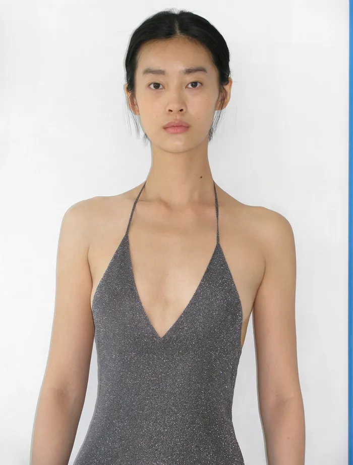 Paloma Wool LOTTEDark Silver Metallic Fitted Dress With Mixed Knit Women Dresses