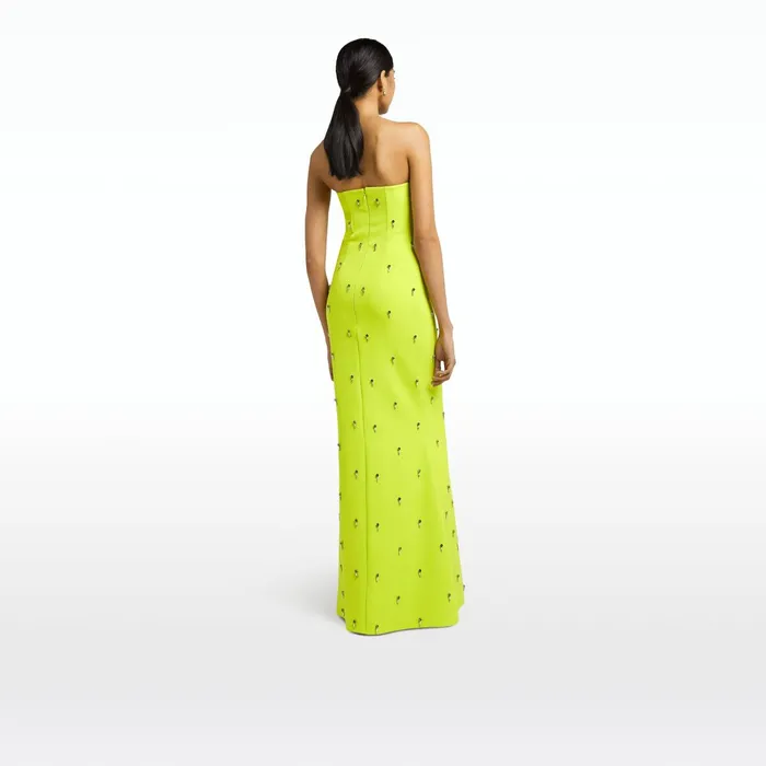 Safiyaa Soshin Tendershoots Long Dress Women Dresses