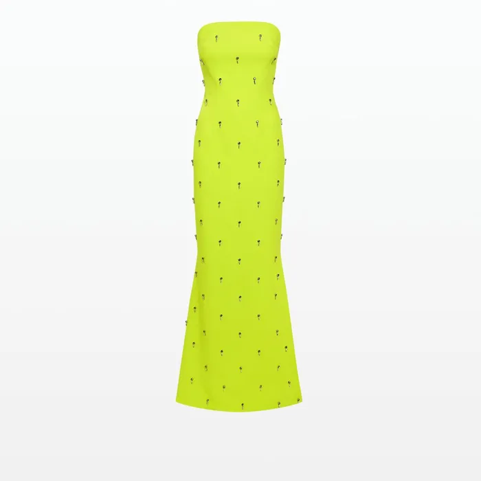 Safiyaa Soshin Tendershoots Long Dress Women Dresses
