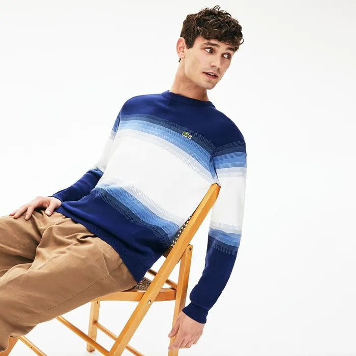 Sweaters Lacoste Mens Made In France Degraded Cotton Crew Neck Sweater Navy BlueBlueWhite Popular Sweaters Lacoste Mens Made In France Degraded Cotton Crew Neck Sweater Navy BlueBlueWhite Popular