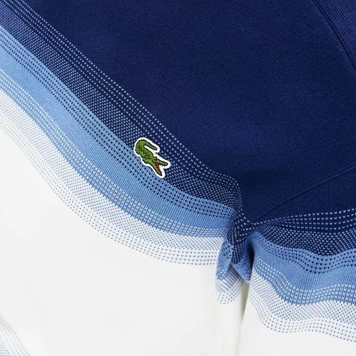 Sweaters Lacoste Mens Made In France Degraded Cotton Crew Neck Sweater Navy BlueBlueWhite Popular