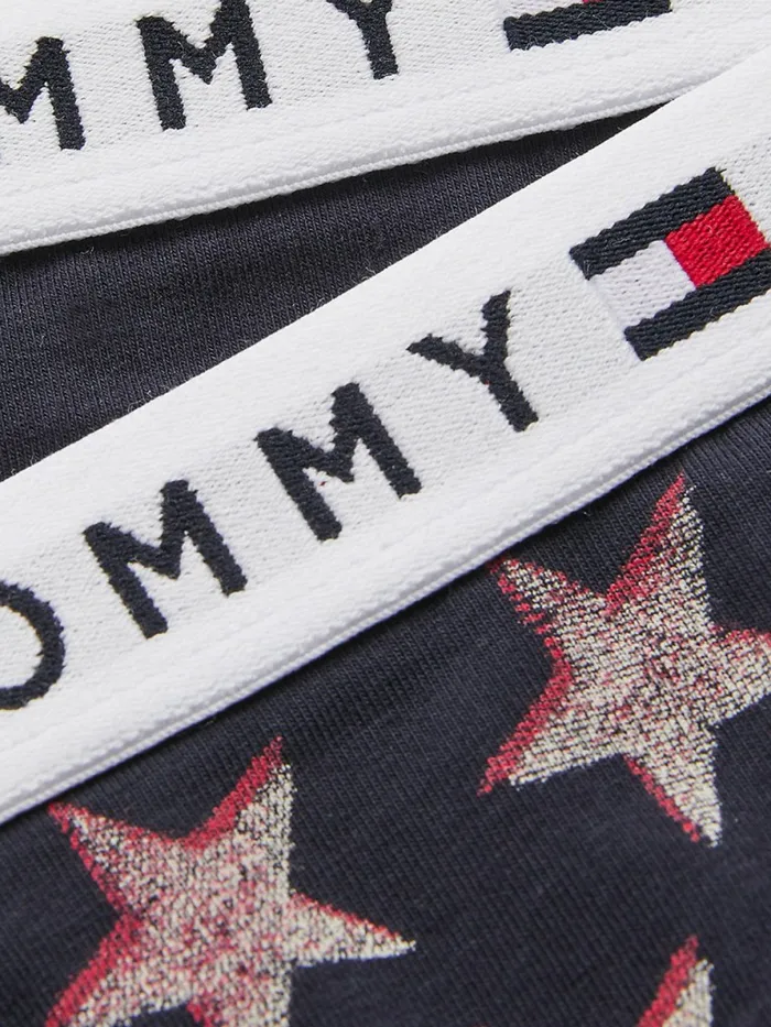 Tommy Hilfiger 2Pack Original Logo Waistband Briefs Offset StarsDesert Sky Girls Underwear and Socks For Sale