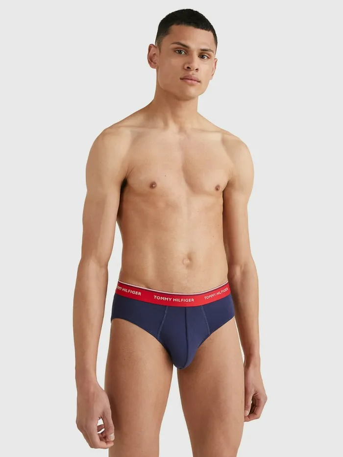 Tommy Hilfiger 3Pack Cotton Briefs MultiPeacoat Mens Underwear Gift Ideas