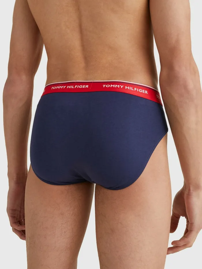 Tommy Hilfiger 3Pack Cotton Briefs MultiPeacoat Mens Underwear Gift Ideas