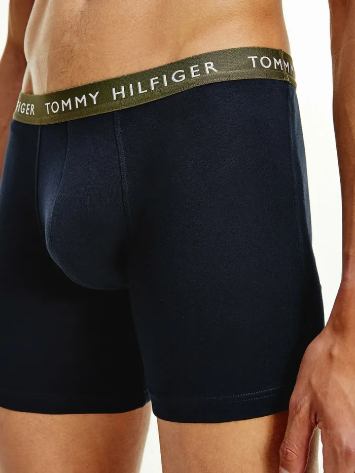 Tommy Hilfiger 3Pack Logo Waistband Boxer Briefs SublunarArmy GreenDesert Sky Mens Underwear Cheap On Sale