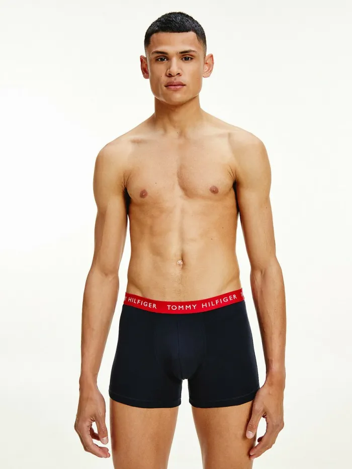 Tommy Hilfiger 3Pack Logo Waistband Boxer Briefs SublunarArmy GreenDesert Sky Mens Underwear Cheap On Sale
