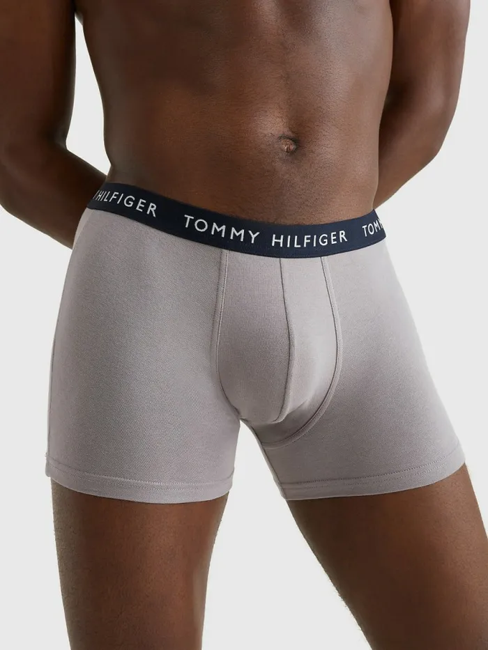 Tommy Hilfiger 5Pack Logo Waistband Trunks DsrtGlf GrnBlz RdSblnrBlck Mens Underwear Online