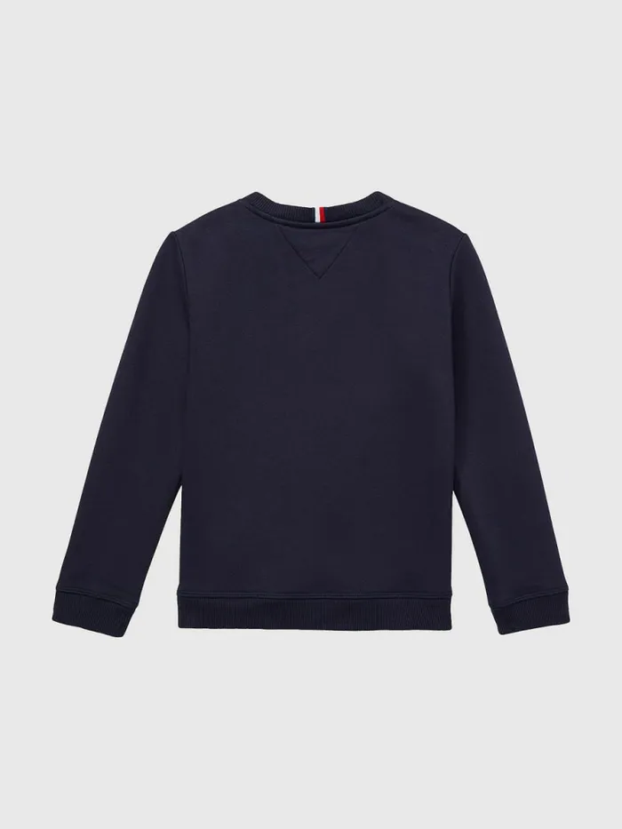 Tommy Hilfiger Adaptive Crew Neck Logo Sweatshirt Sky Captain Boys Sweatshirts and Hoodies Fashion