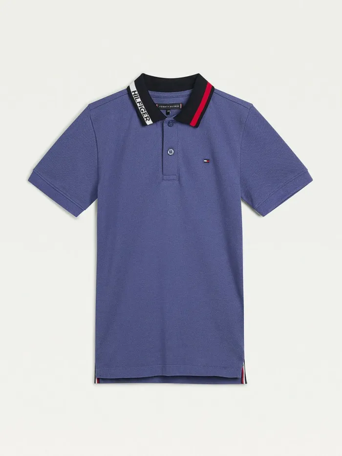 Tommy Hilfiger ColourBlocked Logo Collar Polo Dark Aster Boys TShirts and Polos Near Me Tommy Hilfiger ColourBlocked Logo Collar Polo Dark Aster Boys TShirts and Polos Near Me