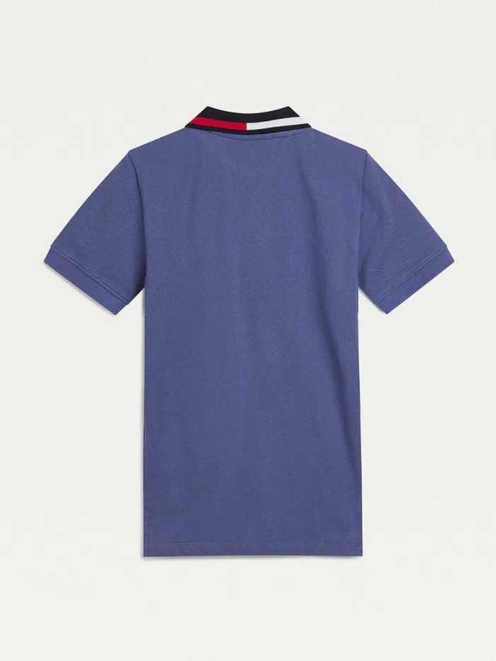 Tommy Hilfiger ColourBlocked Logo Collar Polo Dark Aster Boys TShirts and Polos Near Me