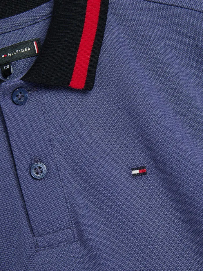 Tommy Hilfiger ColourBlocked Logo Collar Polo Dark Aster Boys TShirts and Polos Near Me