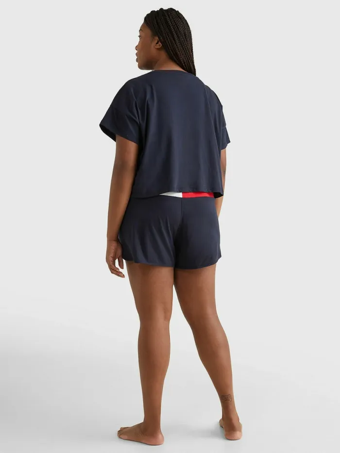 Tommy Hilfiger Curve ColourBlocked Cropped TShirt Desert Sky Womens Curve Fashion