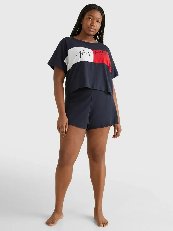 Tommy Hilfiger Curve ColourBlocked Cropped TShirt Desert Sky Womens Curve Fashion