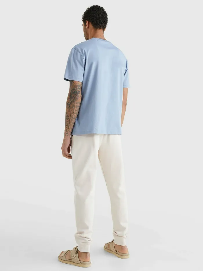 Tommy Hilfiger Earth Logo TShirt Daybreak Blue Mens TShirts Gift for Friend