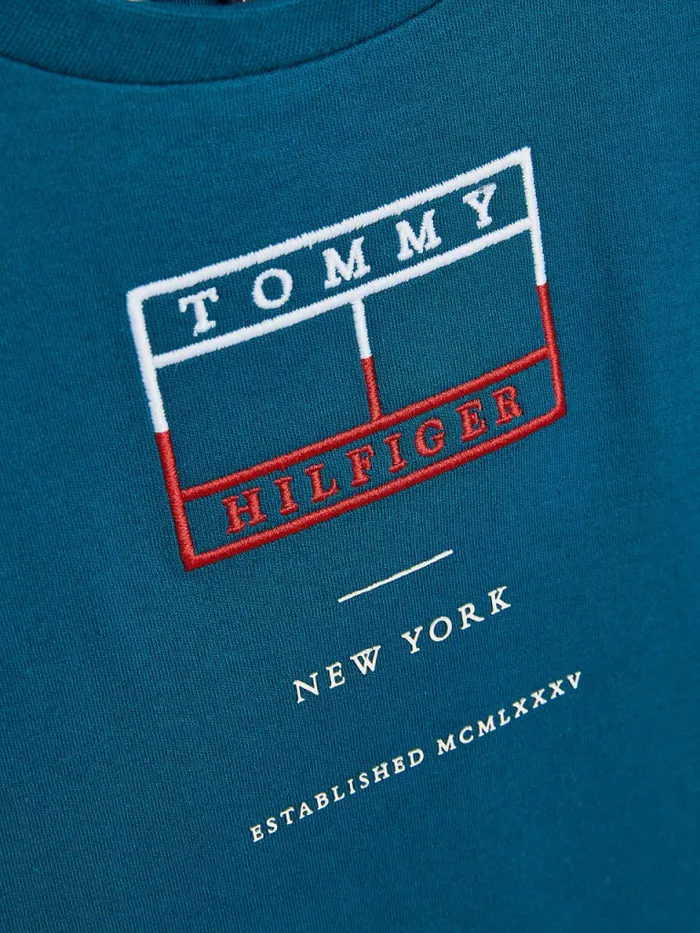 Tommy Hilfiger Embroidered Flag TShirt Petrol Boys TShirts and Polos Gift 4 You