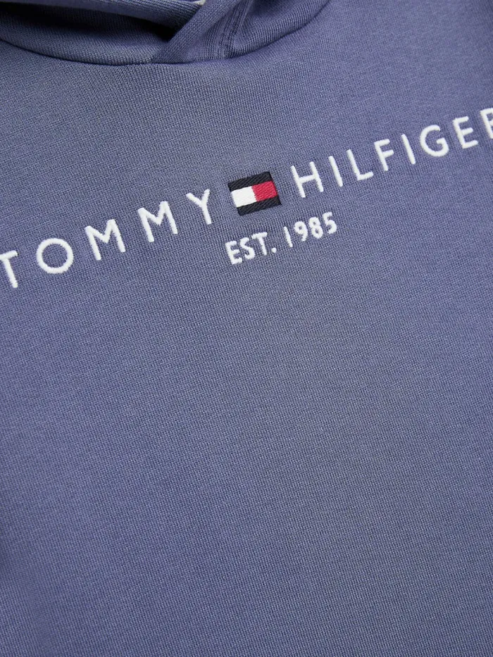 Tommy Hilfiger Essential Logo Hoody Dark Aster Boys Sweatshirts and Hoodies Gift for Friend