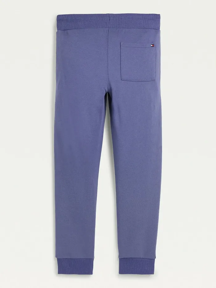 Tommy Hilfiger Essential Logo Joggers Dark Aster Boys Trousers and Shorts Popular