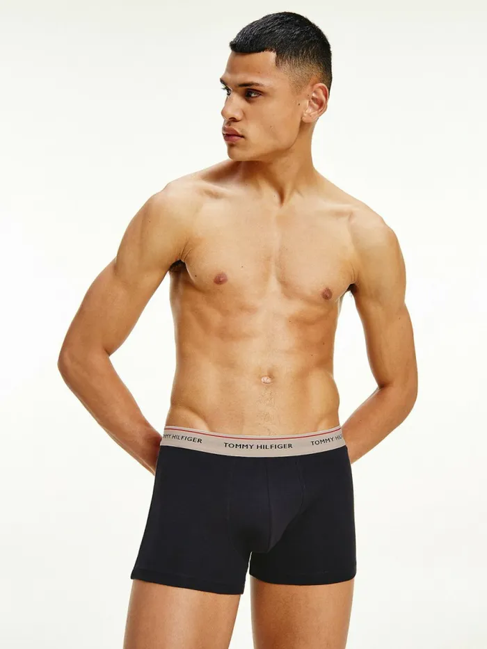 Tommy Hilfiger Exclusive 3Pack Logo Waistband Trunks Dsrt SkyPale PnkCryo Ice Mens Underwear Popular