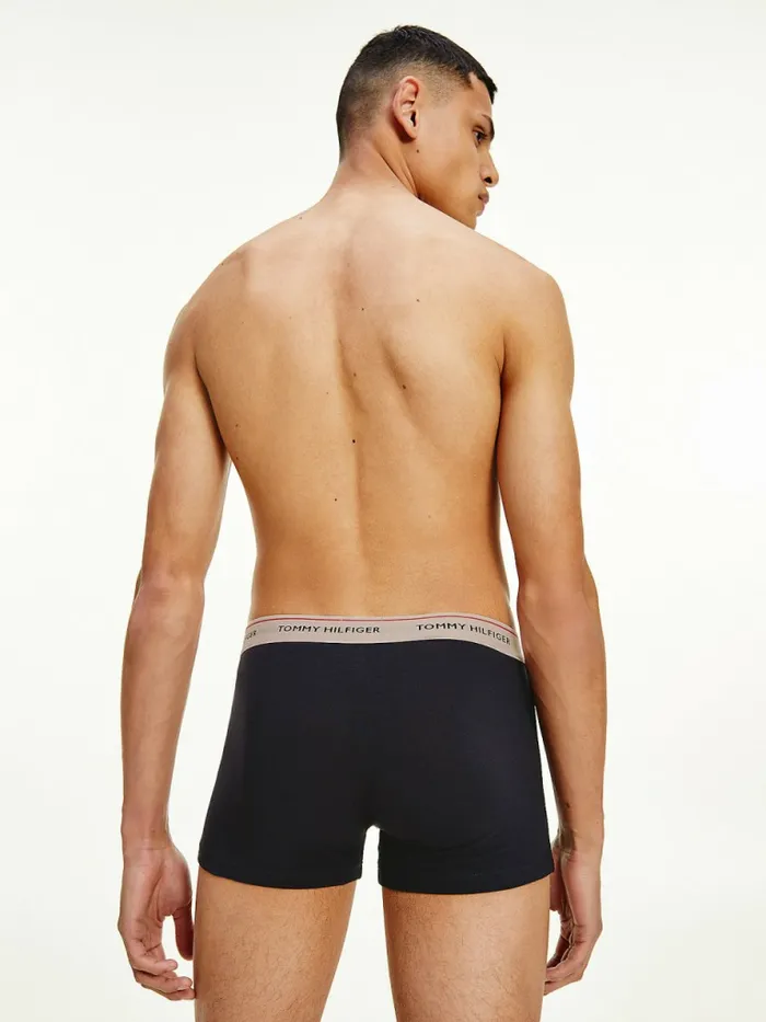Tommy Hilfiger Exclusive 3Pack Logo Waistband Trunks Dsrt SkyPale PnkCryo Ice Mens Underwear Popular