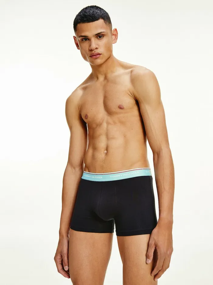 Tommy Hilfiger Exclusive 3Pack Logo Waistband Trunks Dsrt SkyPale PnkCryo Ice Mens Underwear Popular