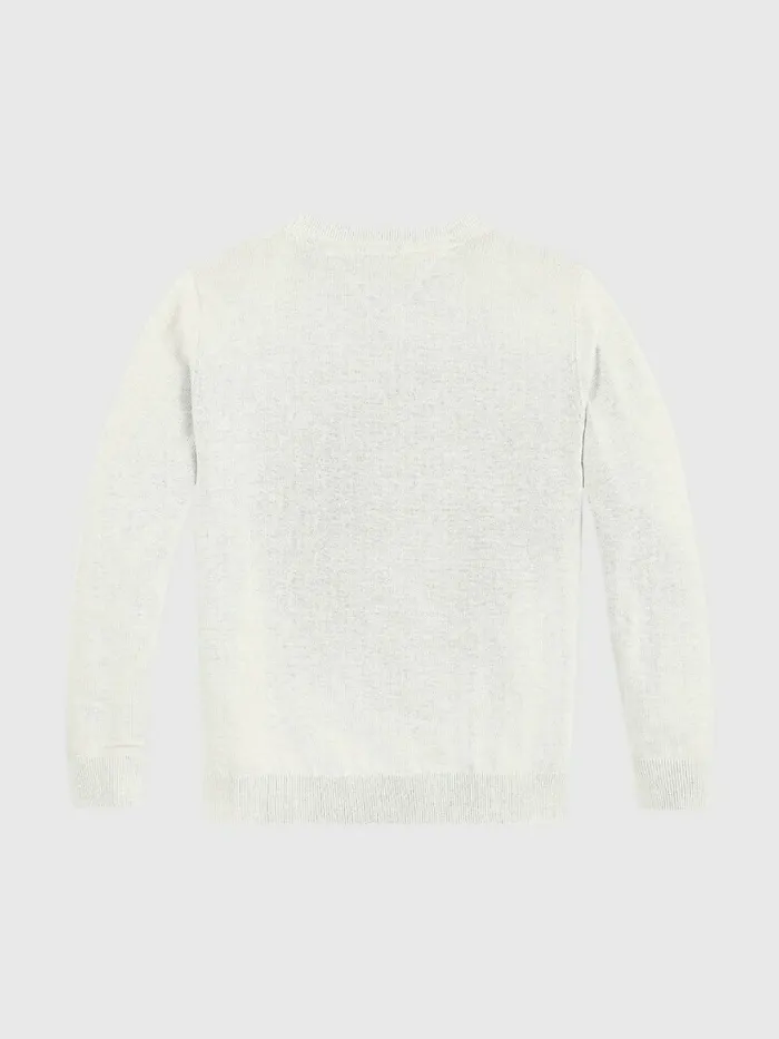Tommy Hilfiger Logo Organic Cotton Jumper Ecru Boys Jumpers and Cardigans Gift Ideas