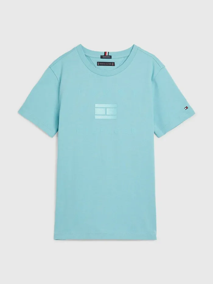 Tommy Hilfiger Logo TShirt Crest Boys TShirts and Polos Near Me