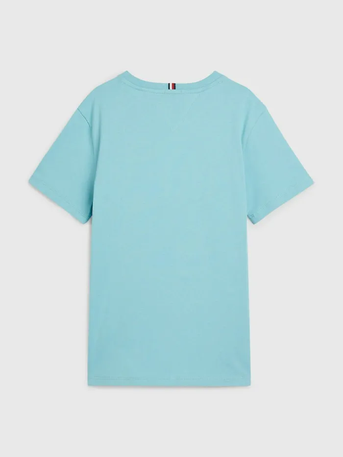 Tommy Hilfiger Logo TShirt Crest Boys TShirts and Polos Near Me