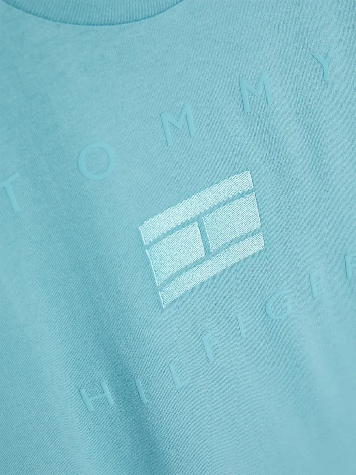 Tommy Hilfiger Logo TShirt Crest Boys TShirts and Polos Near Me