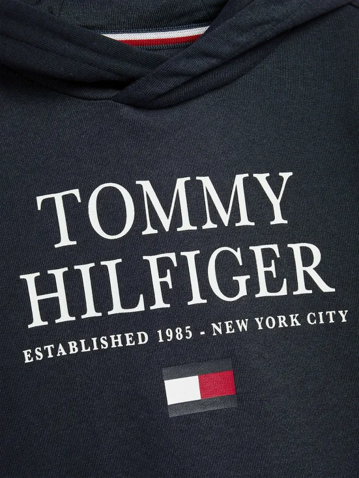Tommy Hilfiger Organic Cotton Logo Hoody Desert Sky Boys Sweatshirts and Hoodies Online