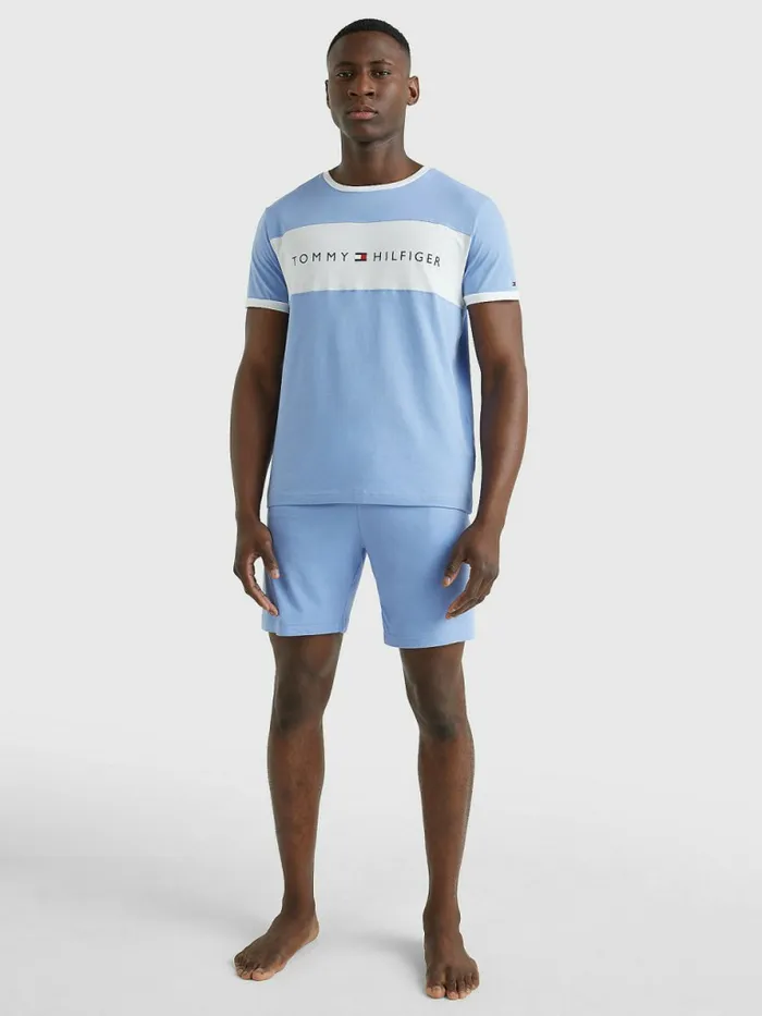 Tommy Hilfiger Original ColourBlocked Logo TShirt Peri Blue Mens TShirts Gift Ideas