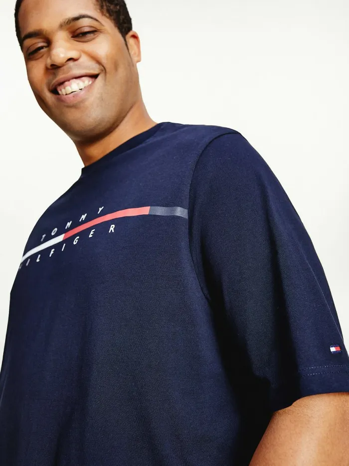 Tommy Hilfiger Plus Signature Split Logo TShirt Desert Sky Mens TShirts Gift Ideas