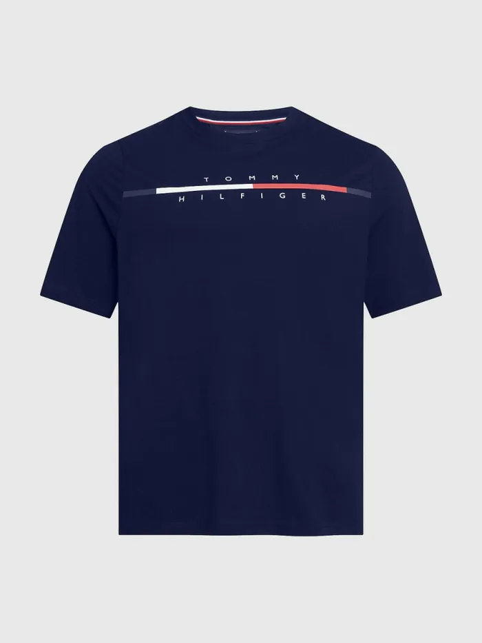 Tommy Hilfiger Plus Signature Split Logo TShirt Desert Sky Mens TShirts Gift Ideas