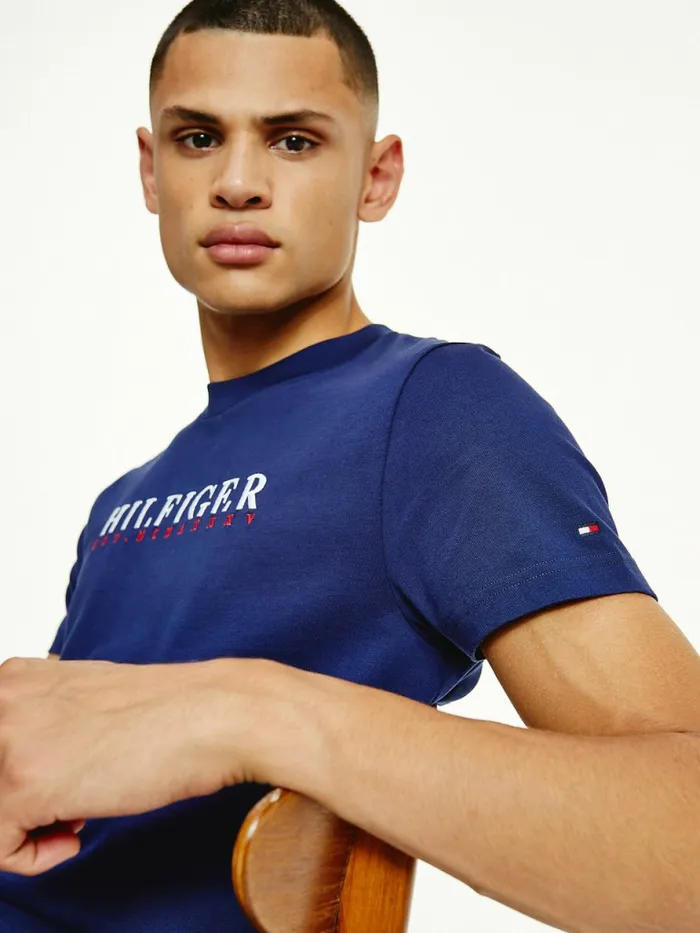 Tommy Hilfiger Signature Organic Cotton Graphic Logo TShirt Yale Navy Mens TShirts Popular