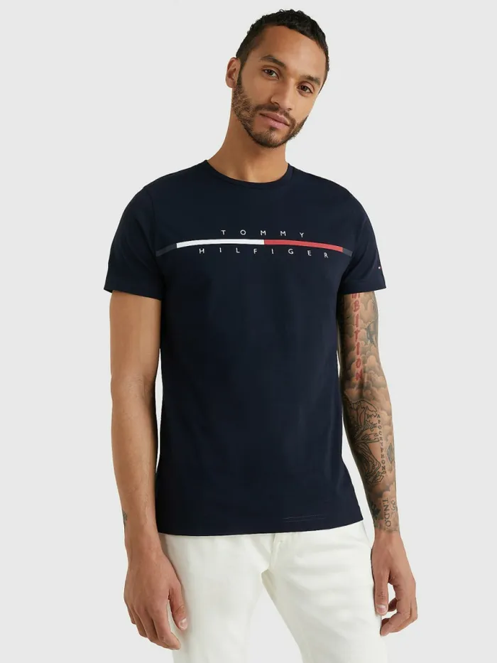 Tommy Hilfiger Signature Split Logo TShirt Desert Sky Mens TShirts Sale