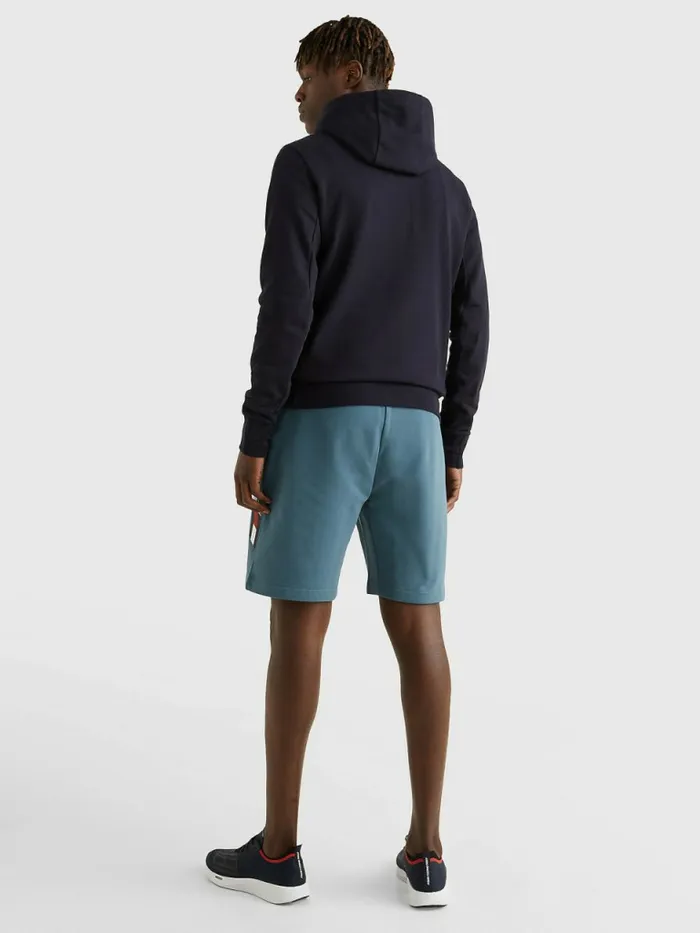 Tommy Hilfiger Sport Th Cool Logo Hoody Desert Sky Mens Sweatshirts and Hoodies For Sale