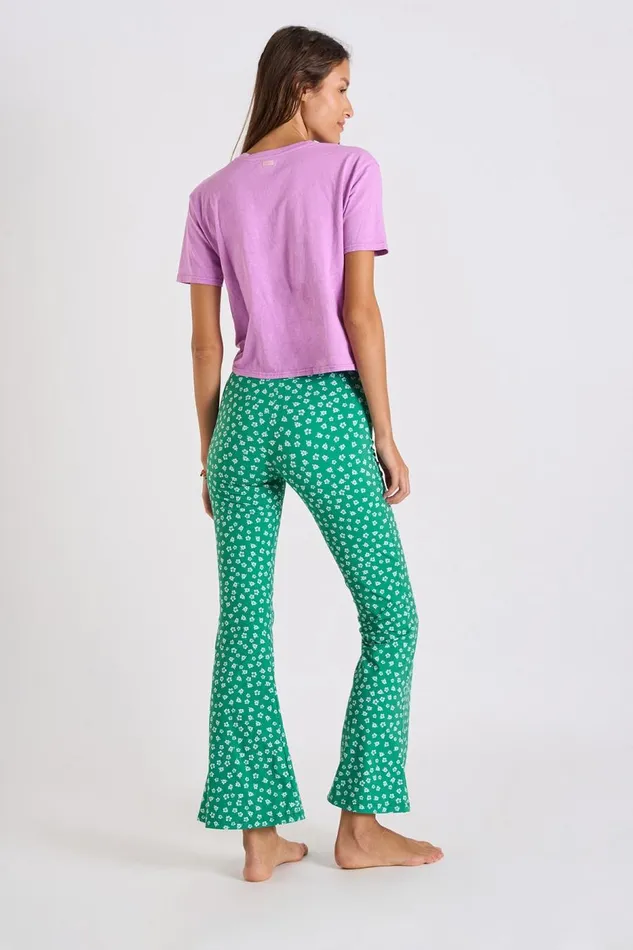 Tshirt Purple 8211 CHADO TEECLUB Purple Women Banana Moon Tops and Tshirts