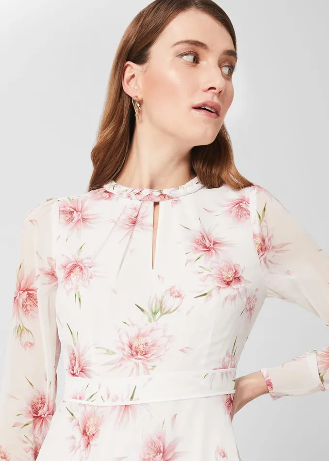 Womens Petite Rosabella Dress Ivory Multi Hobbs Dresses Casaul